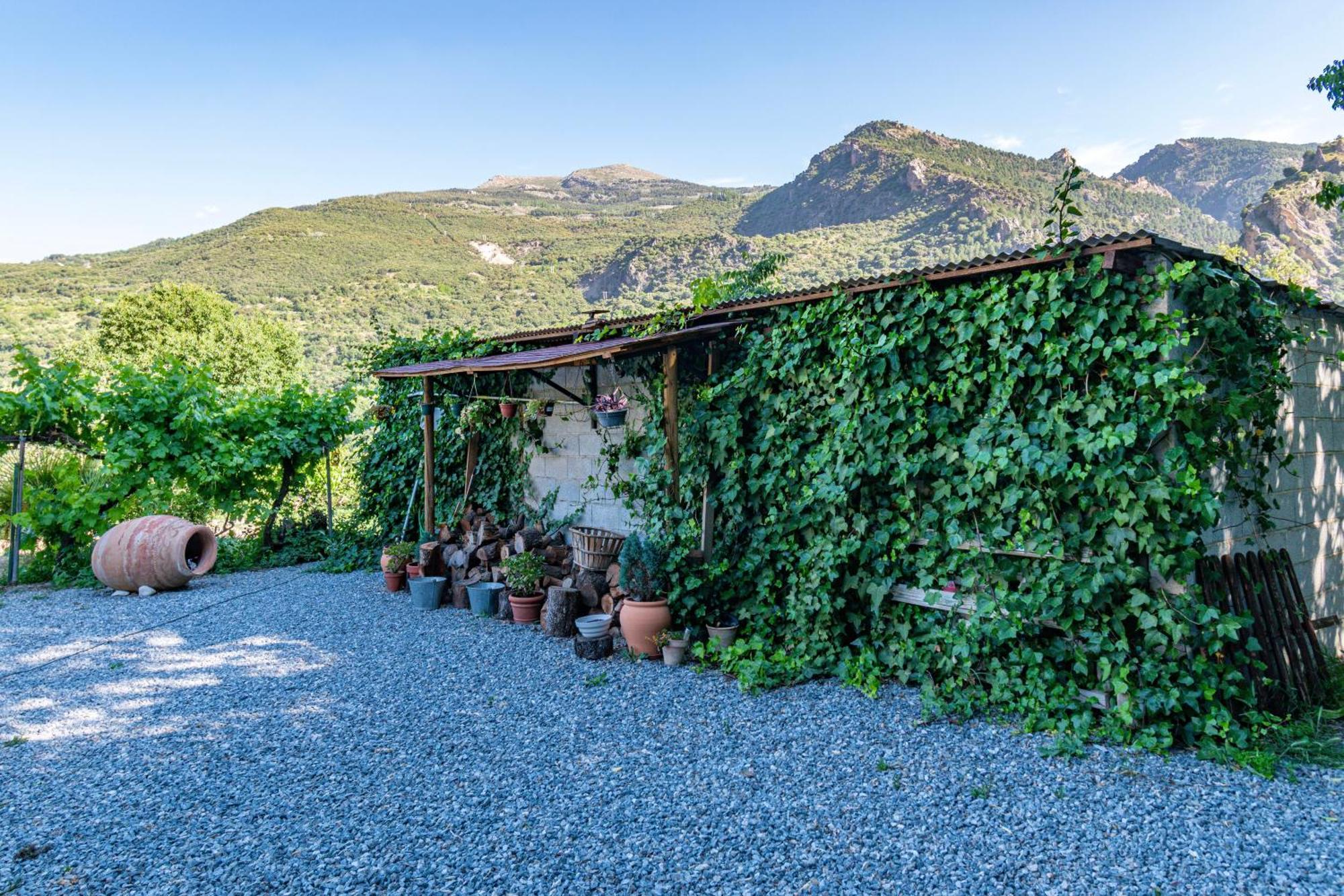 Casa Rural Olivillas Garden-Sierra Nevada Гуехар-Сьєрра Екстер'єр фото